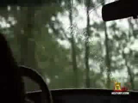 The Jersey Devil