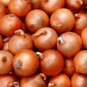 better English communication - know your onions